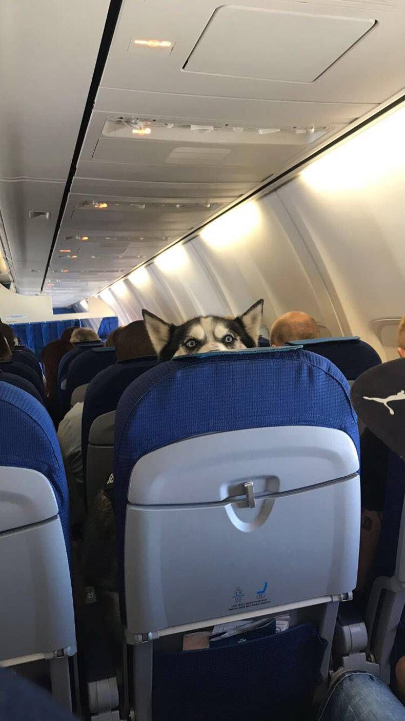 Gewoon een verzameling hilarische foto's #1002