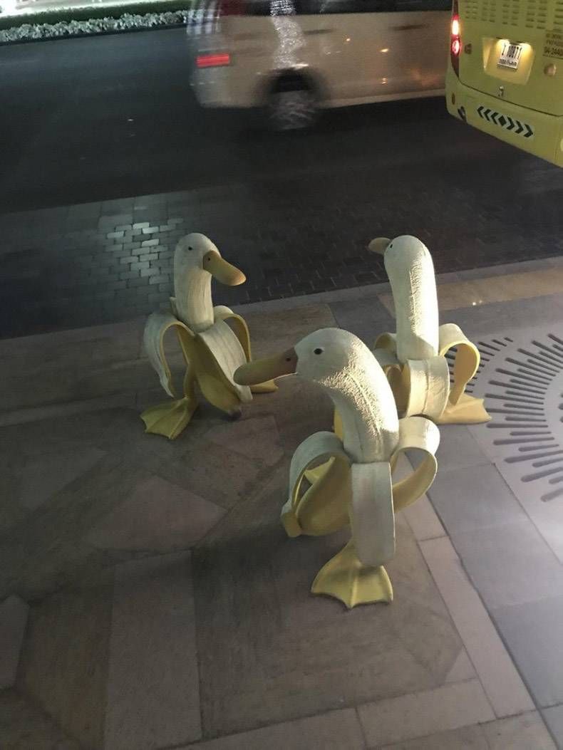 Gewoon een verzameling hilarische foto's #967