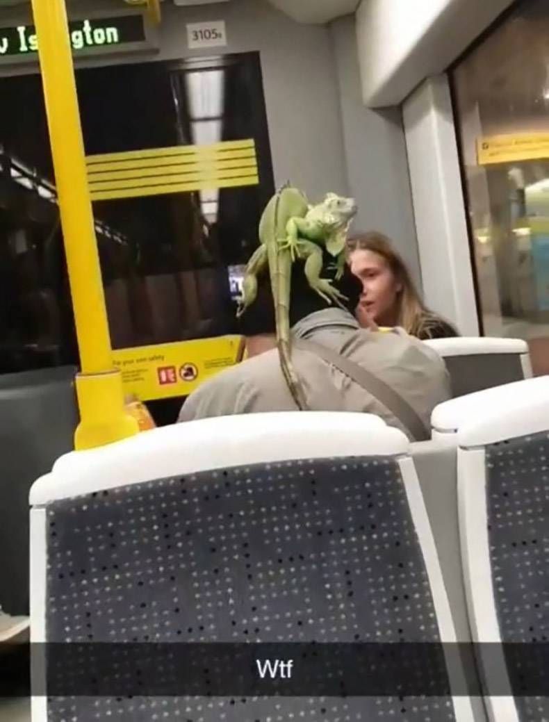Gewoon een verzameling hilarische foto's #1191