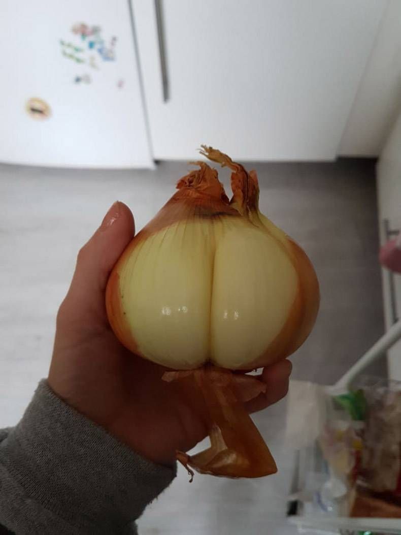 Gewoon een verzameling hilarische foto's #922