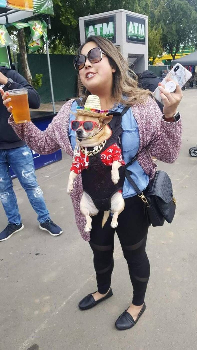 Gewoon een verzameling hilarische foto's #1290