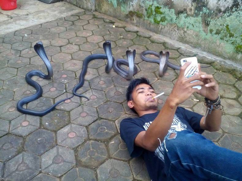 Gewoon een verzameling hilarische foto's #932