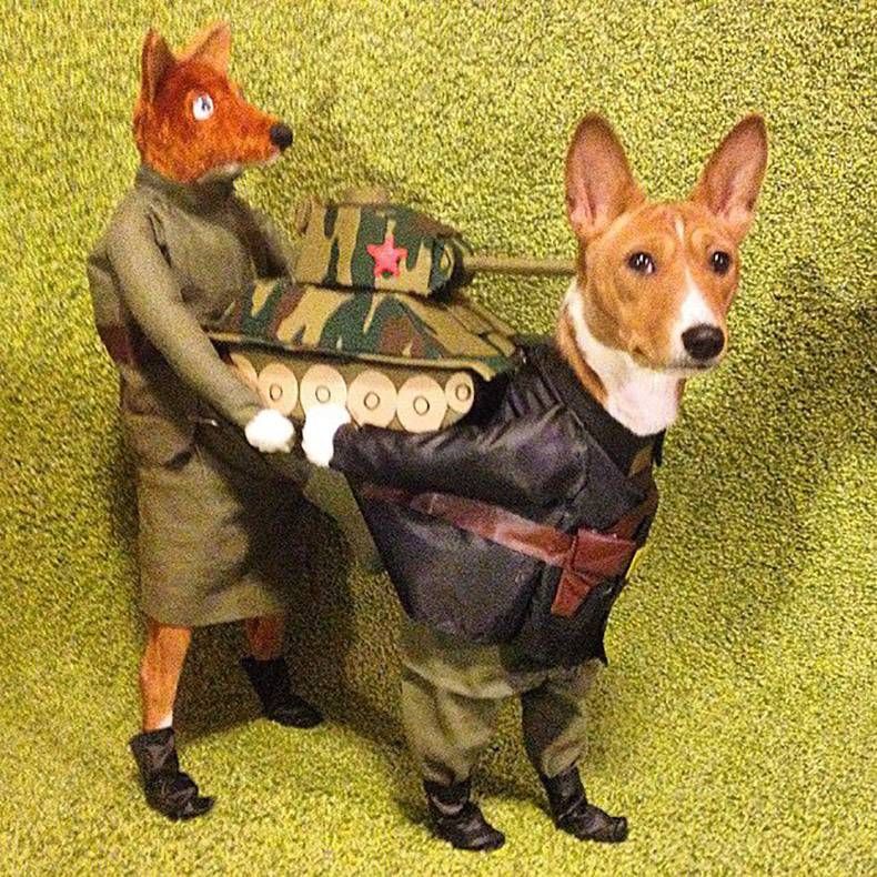 Gewoon een verzameling hilarische foto's #869