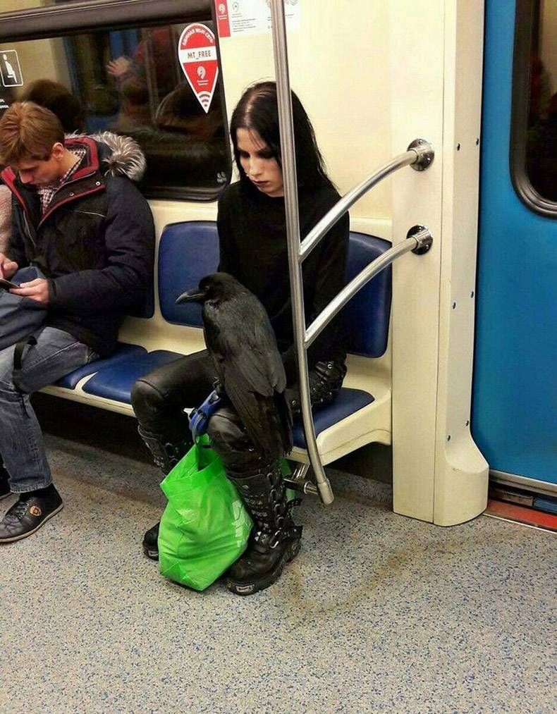 Gewoon een verzameling hilarische foto's #815