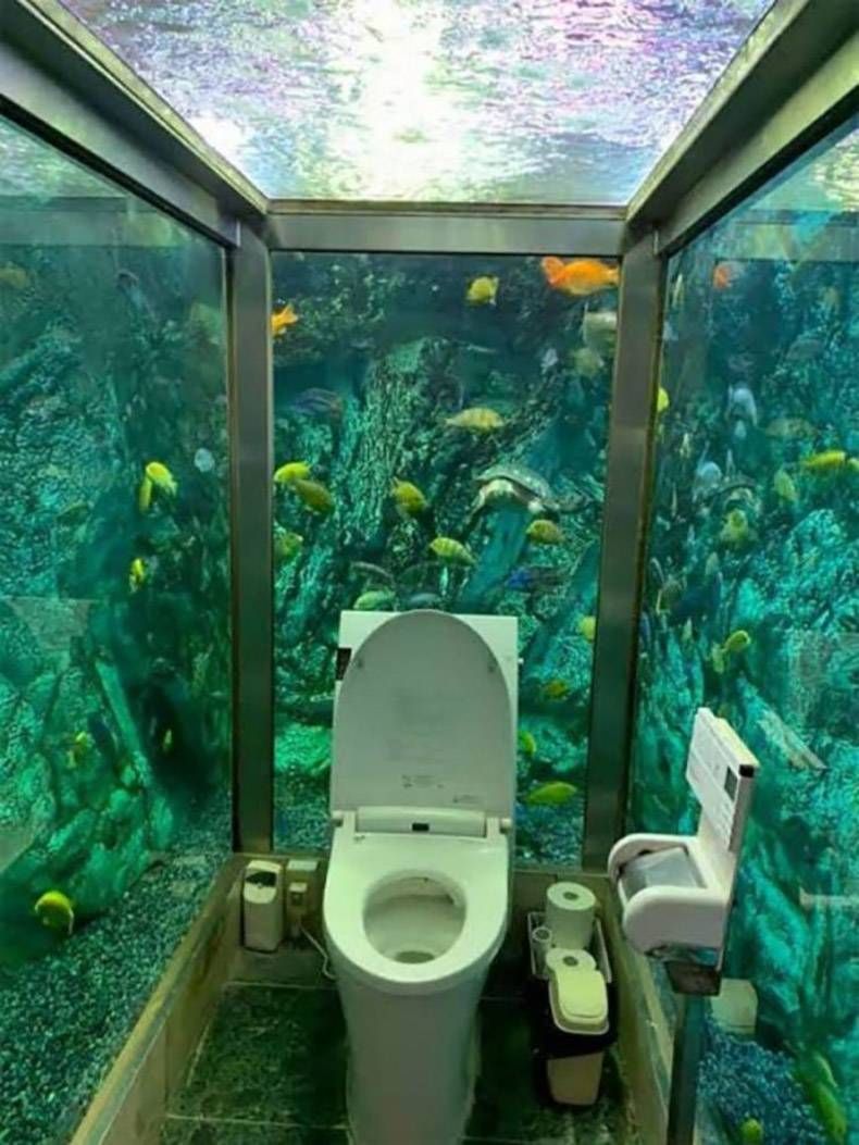Gewoon een verzameling hilarische foto's #1309