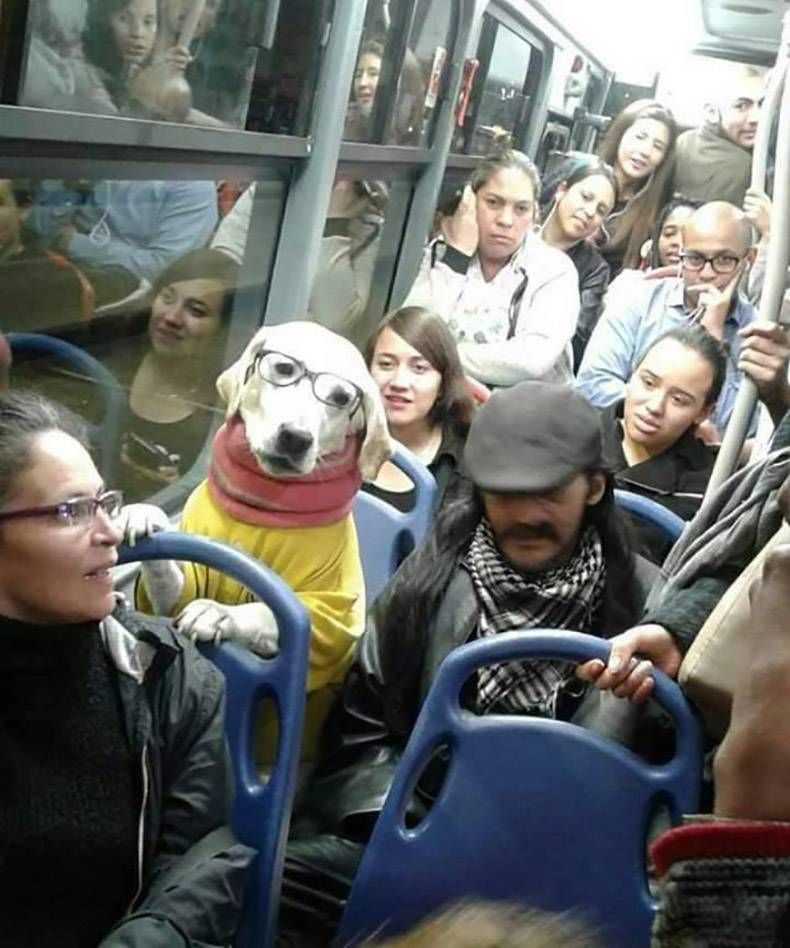 Gewoon een verzameling hilarische foto's #1233