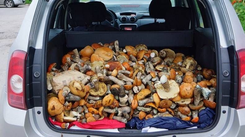 Gewoon een verzameling hilarische foto's #1010