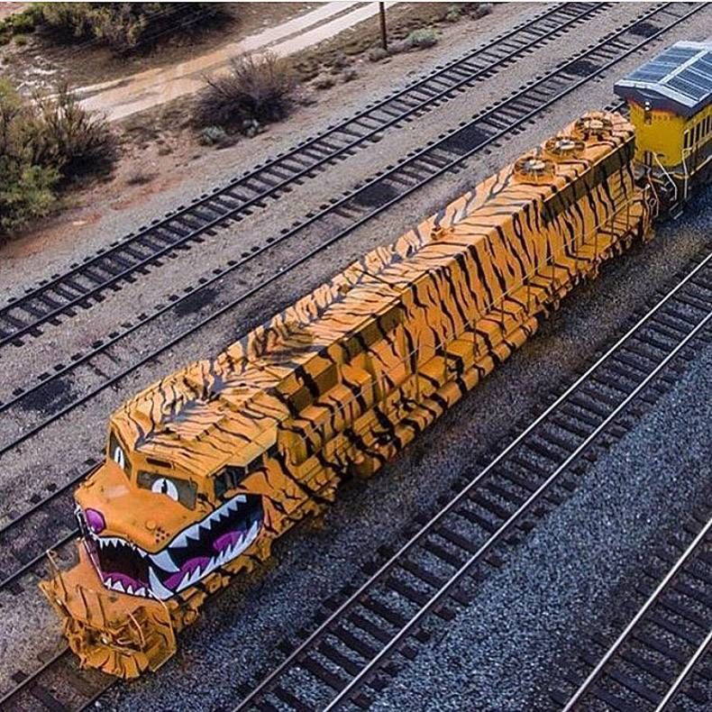 Gewoon een verzameling hilarische foto's #1009