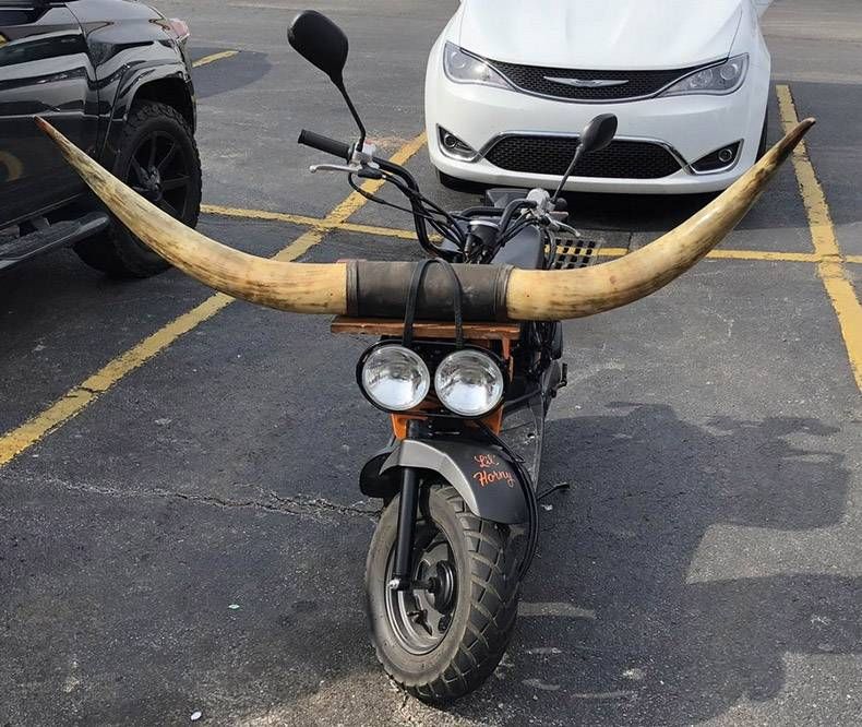 Gewoon een verzameling hilarische foto's #968