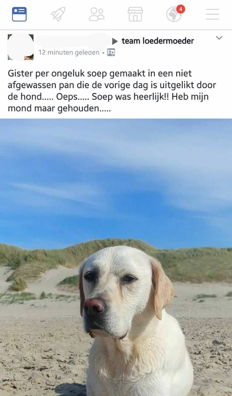 Gewoon een verzameling hilarische foto's #861