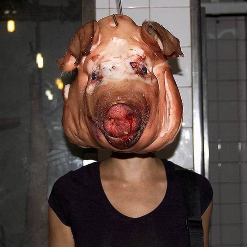 Gewoon een verzameling hilarische foto's #768