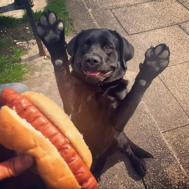 Gewoon een verzameling hilarische foto’s #1350
