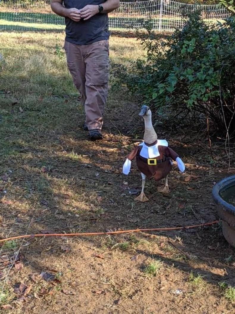 Gewoon een verzameling hilarische foto's #1254