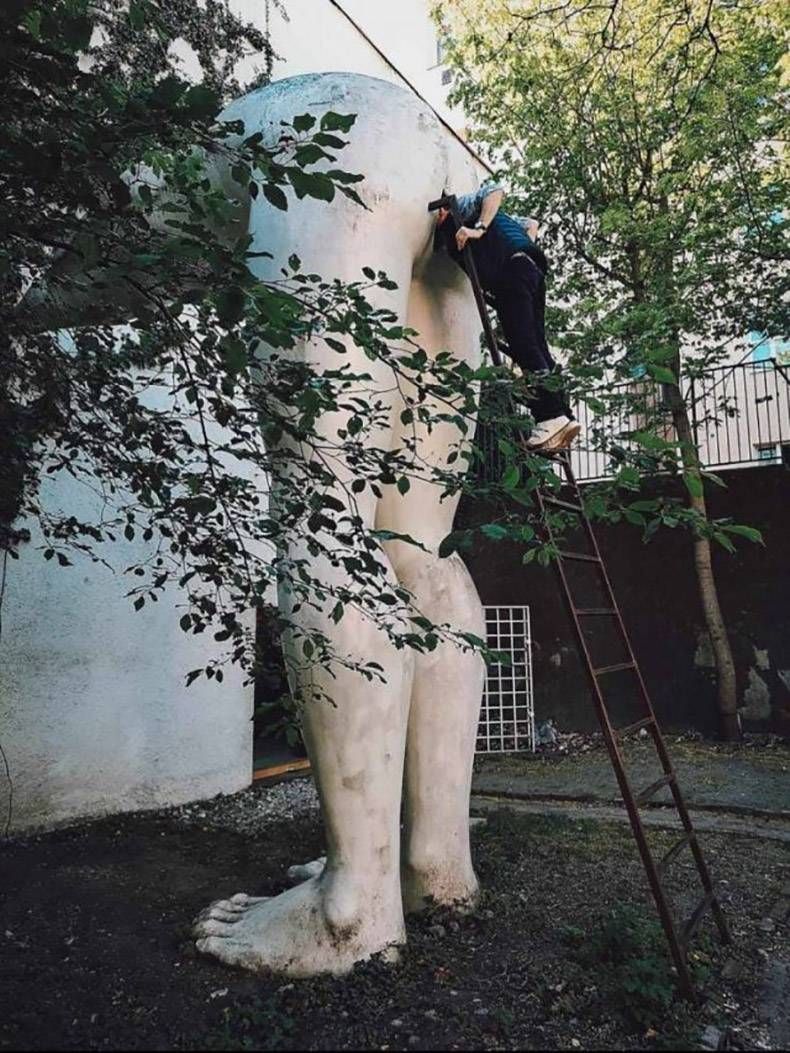 Gewoon een verzameling hilarische foto's #1228