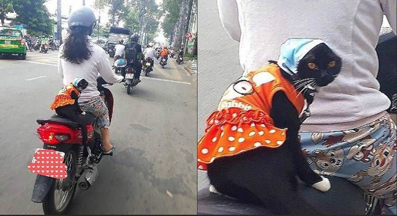 Gewoon een verzameling hilarische foto's #1020