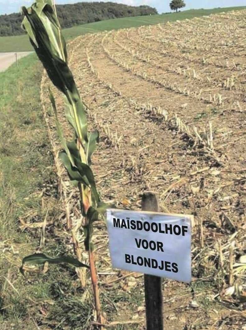 Gewoon een verzameling hilarische foto's #872