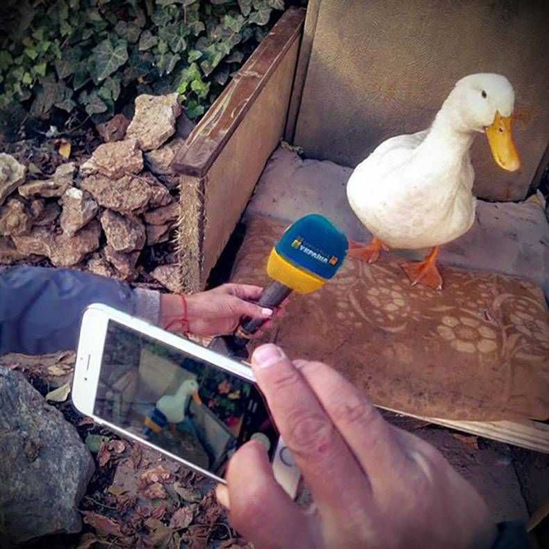 Gewoon een verzameling hilarische foto's #760