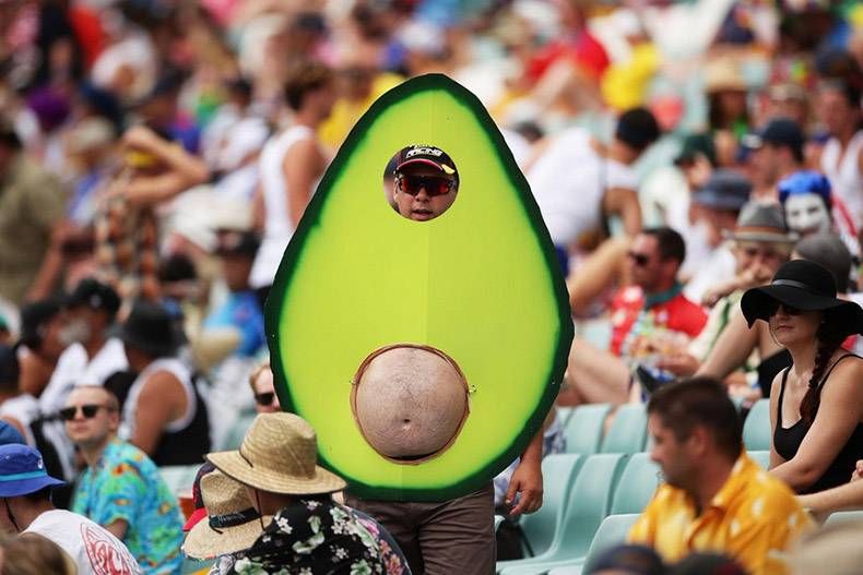 Gewoon een verzameling hilarische foto's #926