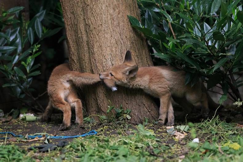 Gewoon een verzameling hilarische foto's #748