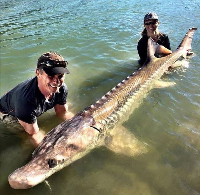 Gewoon een verzameling hilarische foto's #1302