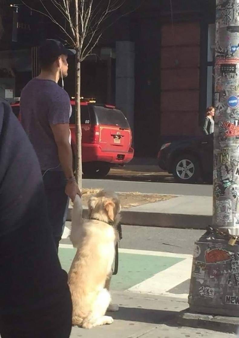 Gewoon een verzameling hilarische foto's #1259