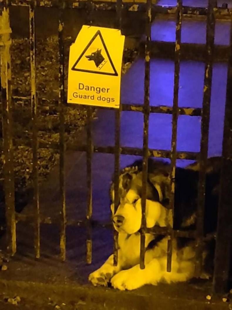 Gewoon een verzameling hilarische foto's #1060