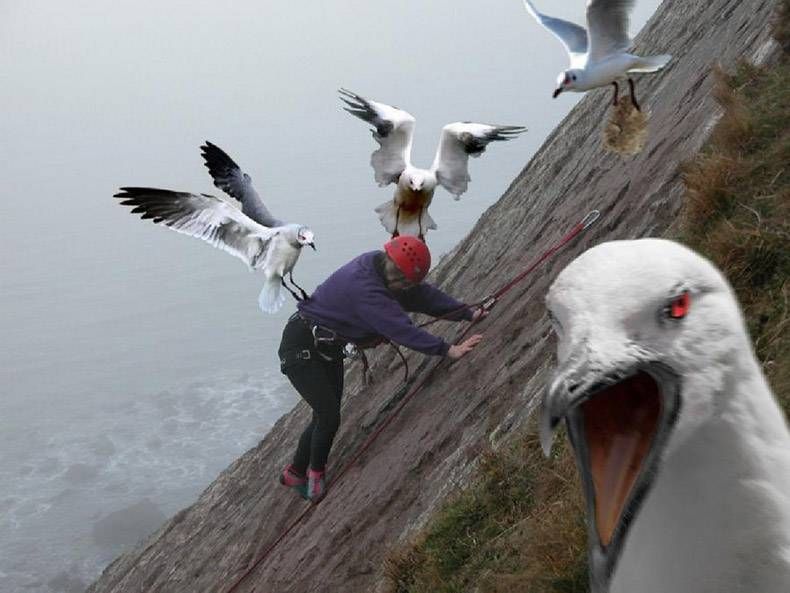 Gewoon een verzameling hilarische foto's #991
