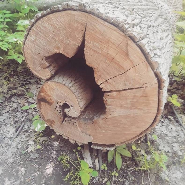 Gewoon een verzameling hilarische foto’s #978