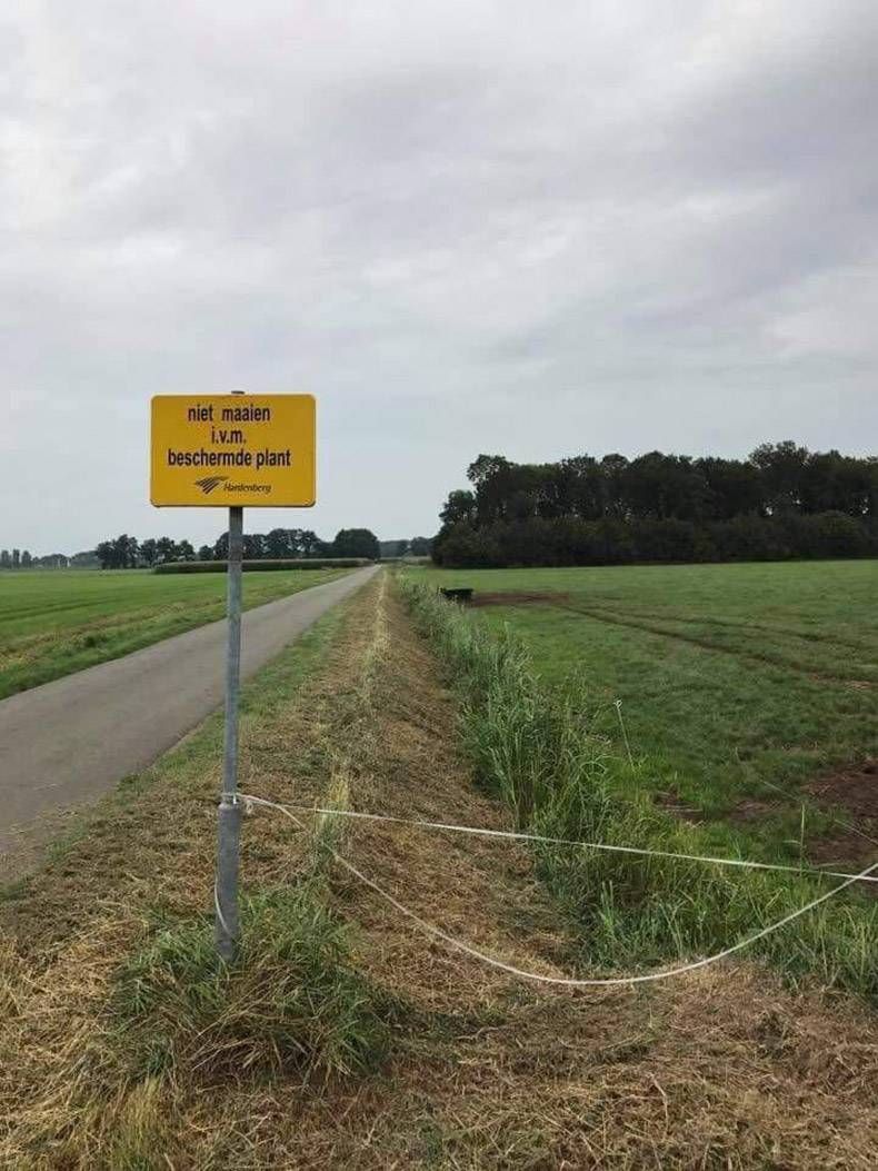 Gewoon een verzameling hilarische foto's #855