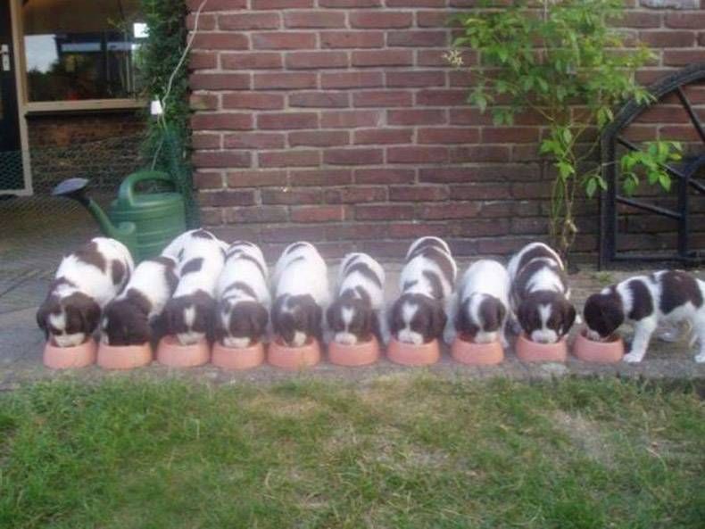 Gewoon een verzameling hilarische foto's #838