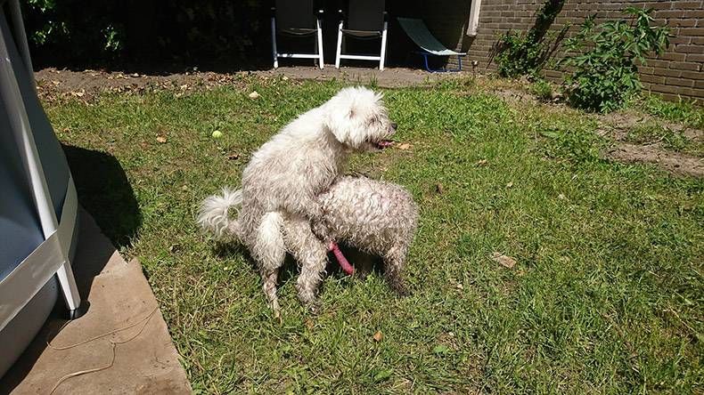 Gewoon een verzameling hilarische foto's #972
