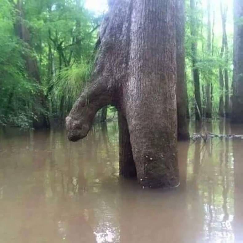 Gewoon een verzameling hilarische foto's #763