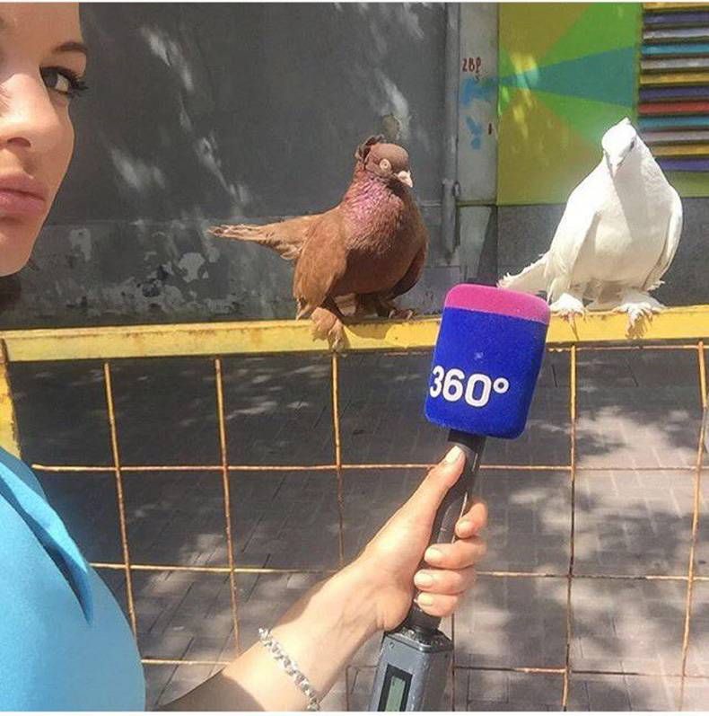 Gewoon een verzameling hilarische foto's #701
