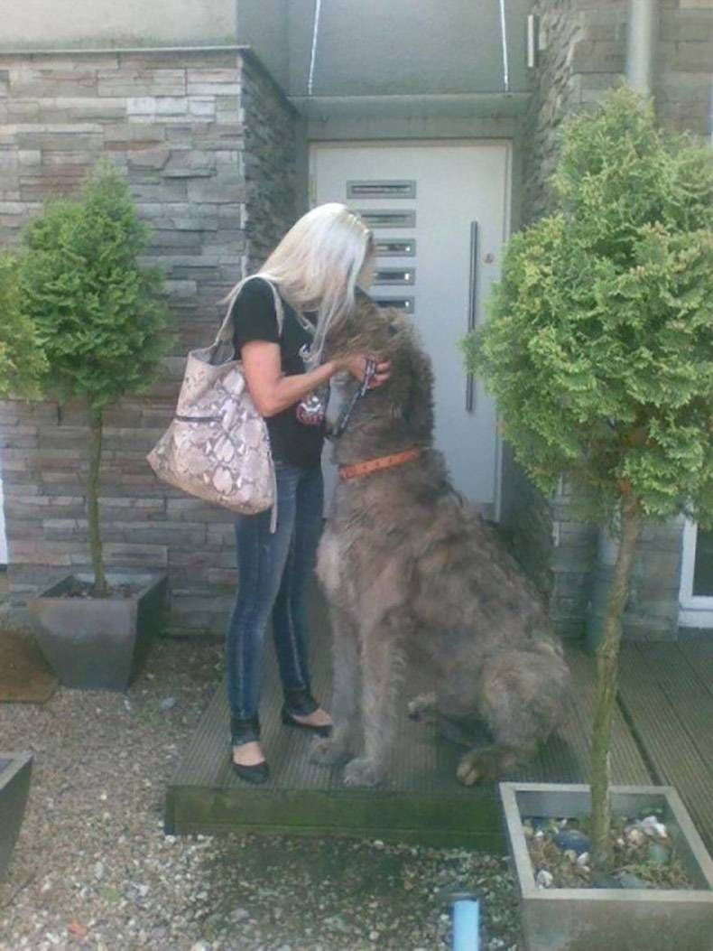 Gewoon een verzameling hilarische foto's #1060