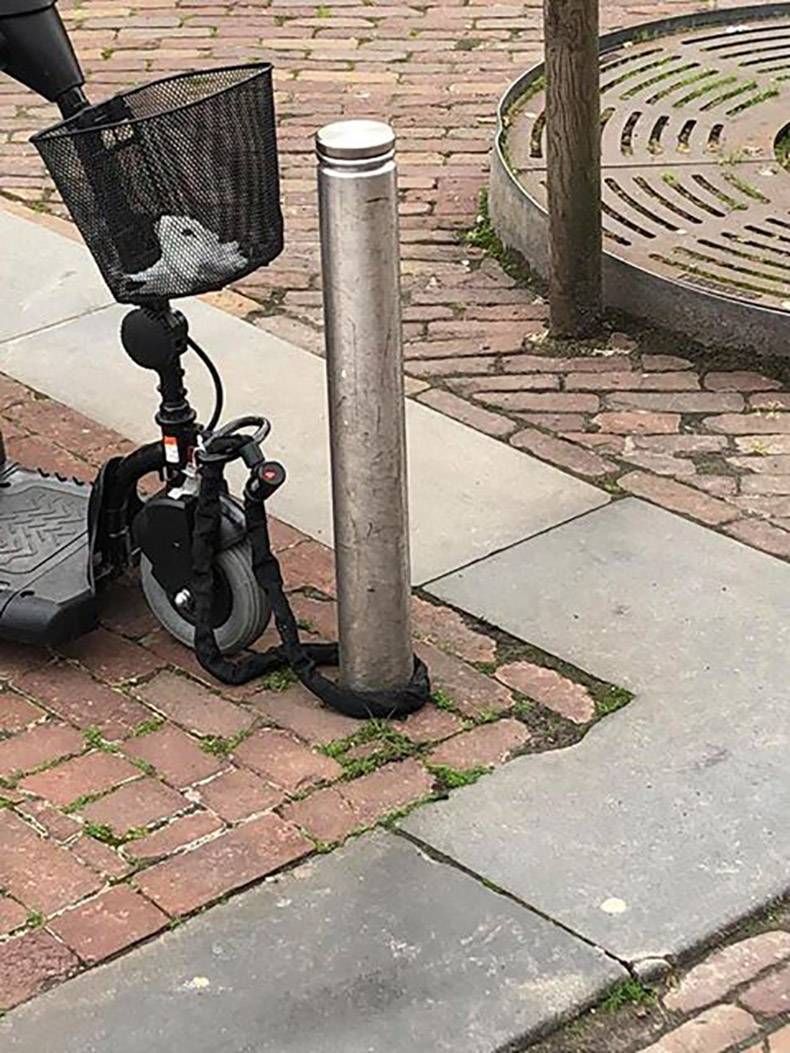Gewoon een verzameling hilarische foto’s #1023