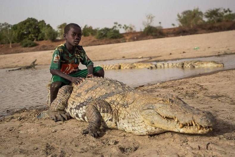 Gewoon een verzameling hilarische foto's #990