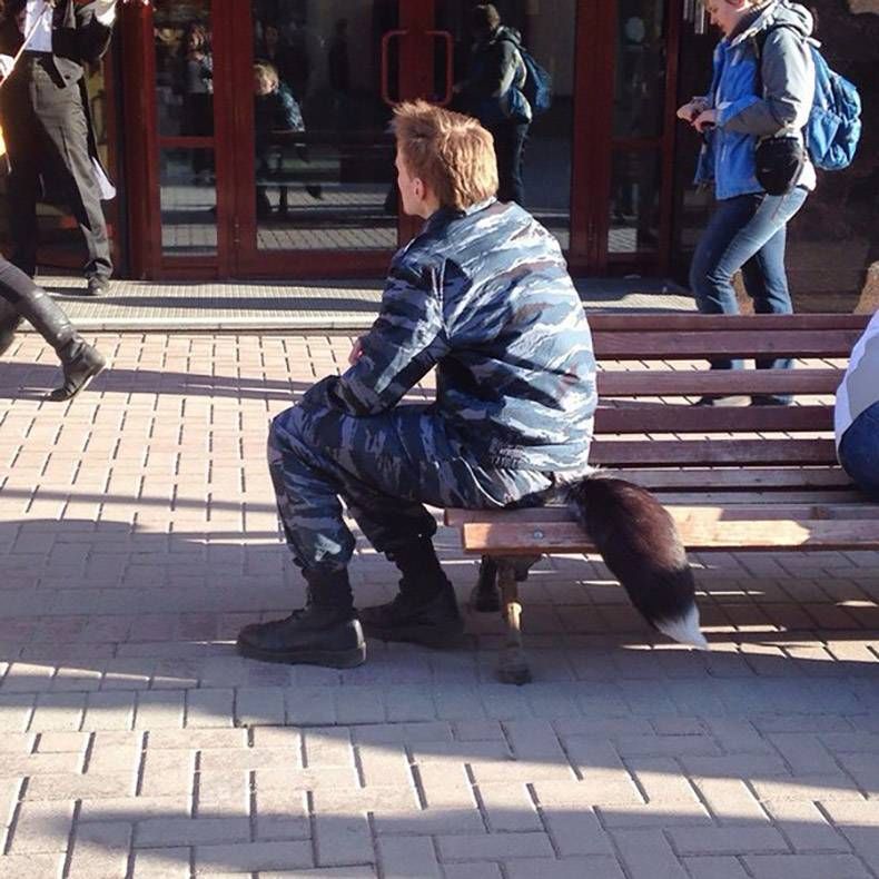 Gewoon een verzameling hilarische foto's #756