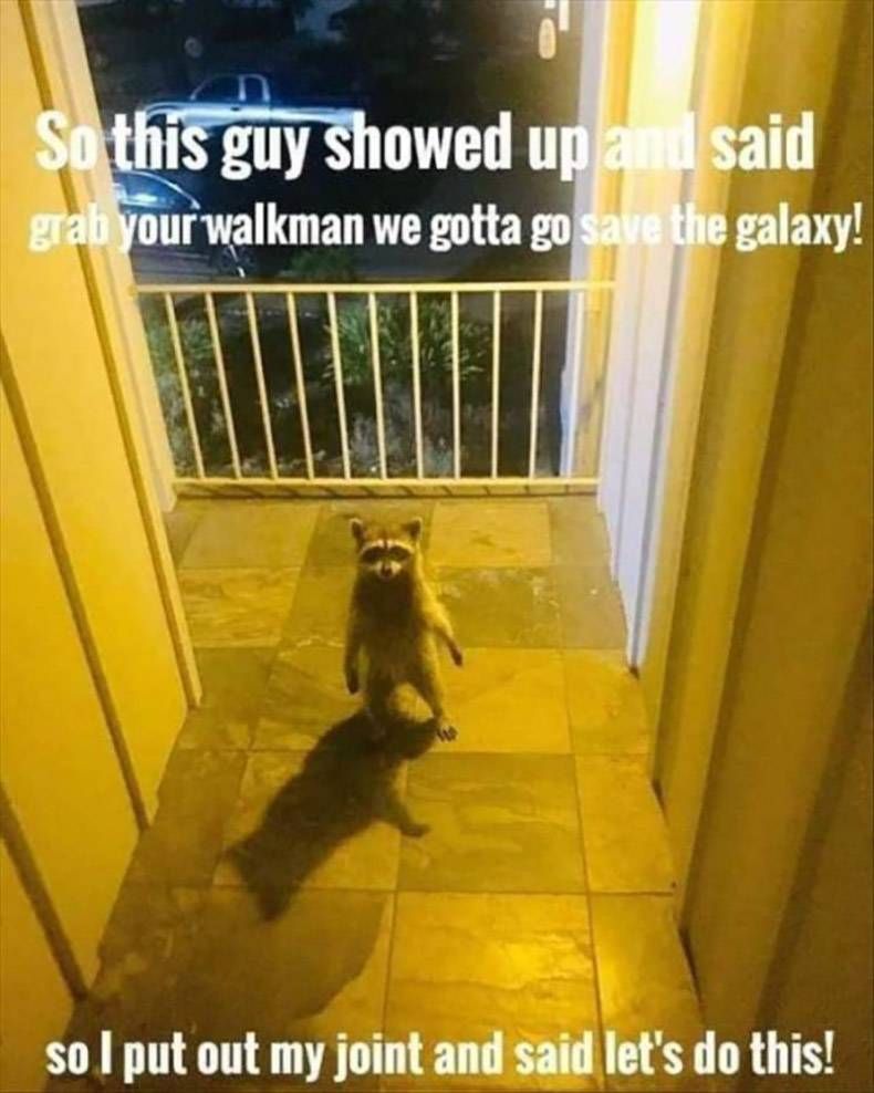 Gewoon een verzameling hilarische foto's #1289