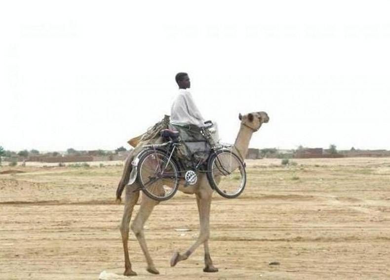 Pix Dump #1000 Special: Gewoon een verzameling straathumor foto's