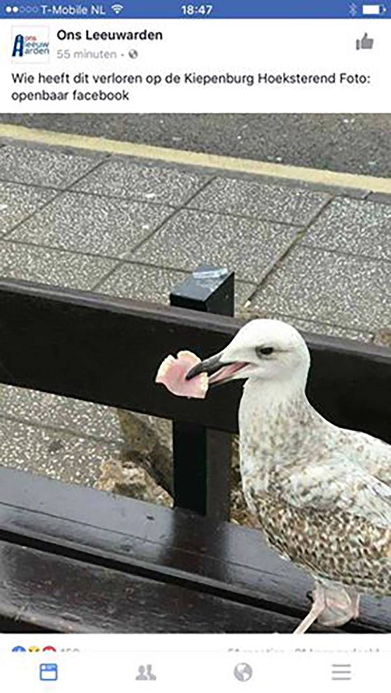 Gewoon een verzameling hilarische foto's #805