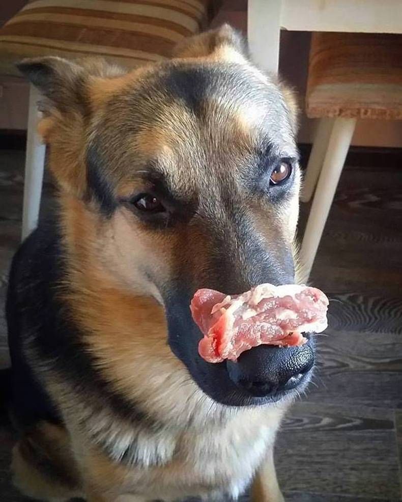 Gewoon een verzameling hilarische foto's #748
