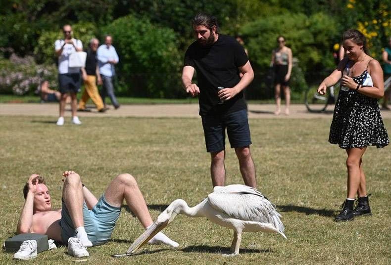 Gewoon een verzameling hilarische foto’s #1325