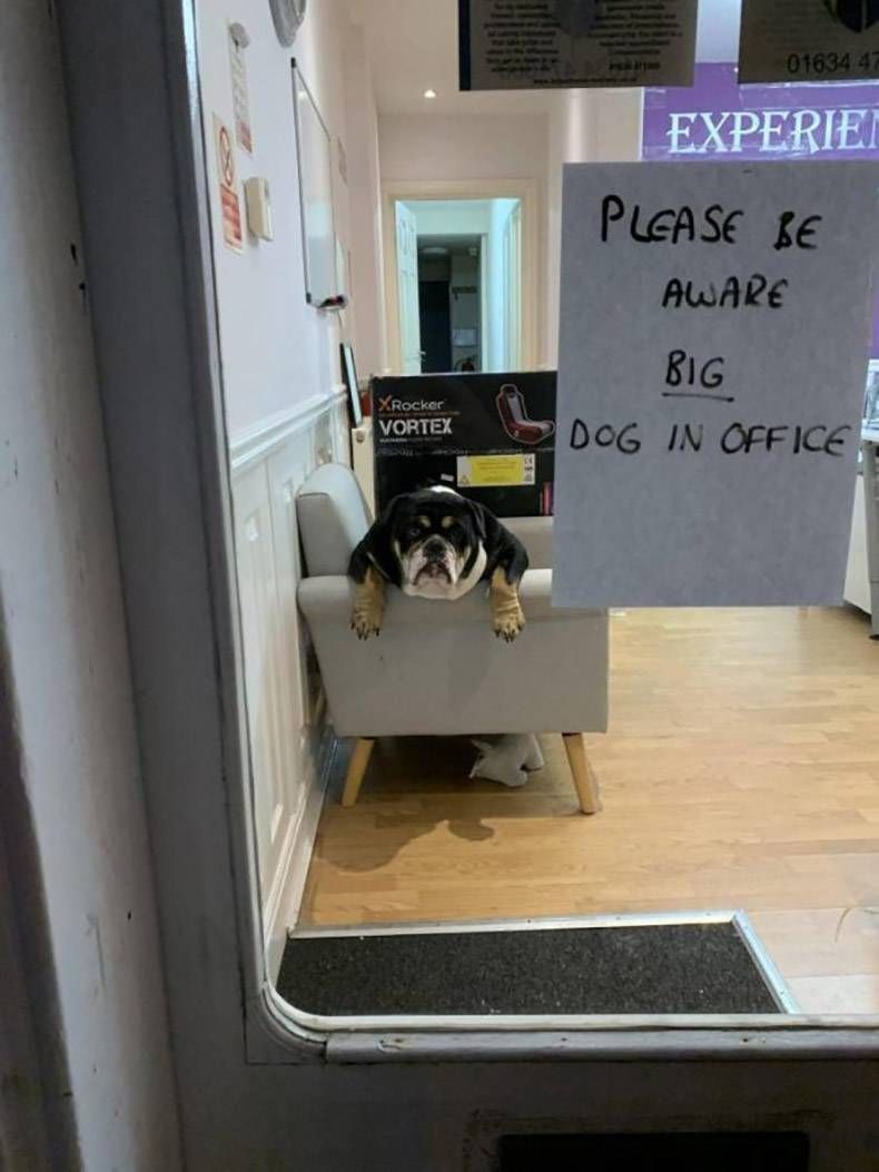 Gewoon een verzameling hilarische foto's #1210