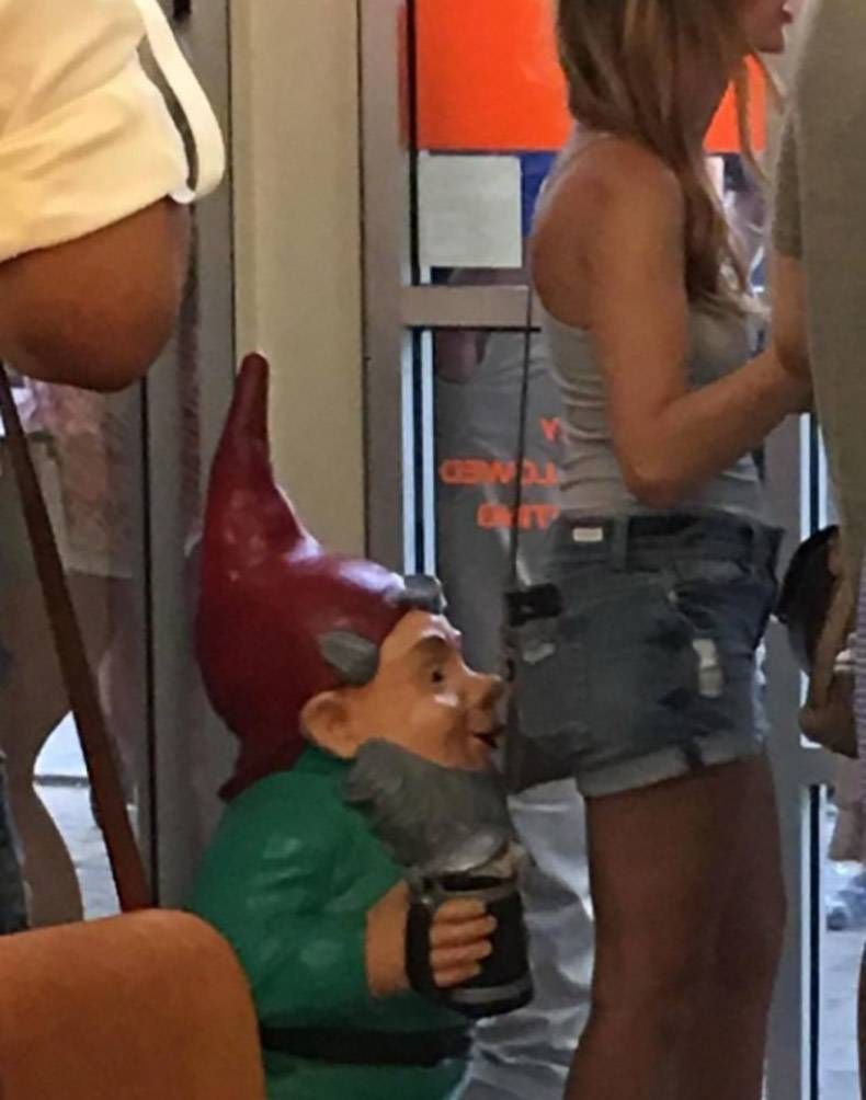 Gewoon een verzameling hilarische foto's #1102