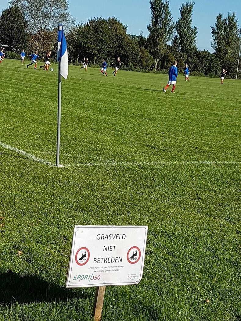 Gewoon een verzameling hilarische foto's #872