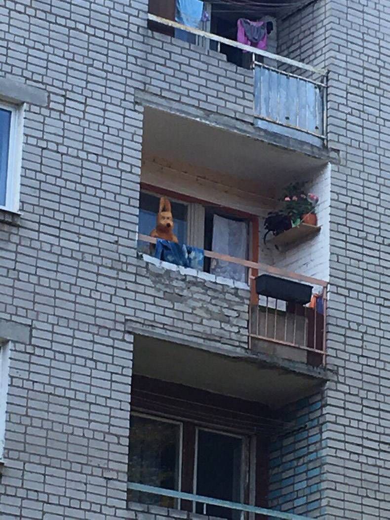Gewoon een verzameling hilarische foto's #862