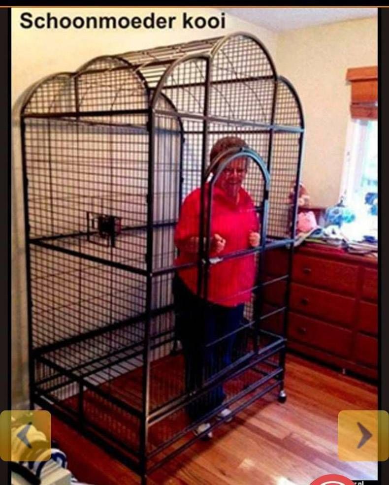 Gewoon een verzameling hilarische foto's #1081
