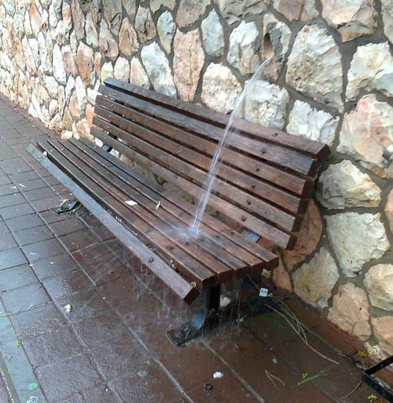 Gewoon een verzameling hilarische foto's #998