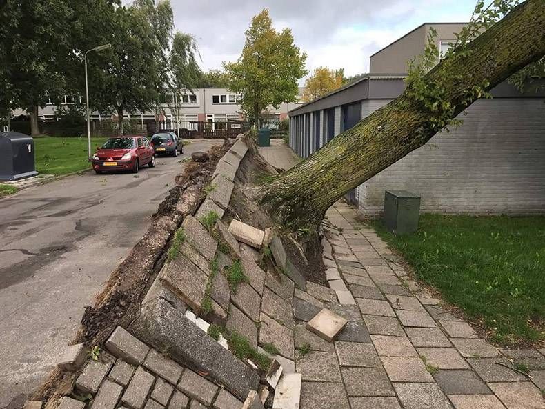 Gewoon een verzameling hilarische foto's #867