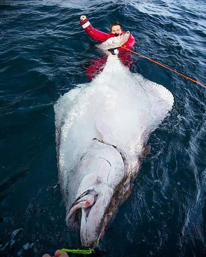 Gewoon een verzameling hilarische foto's #772